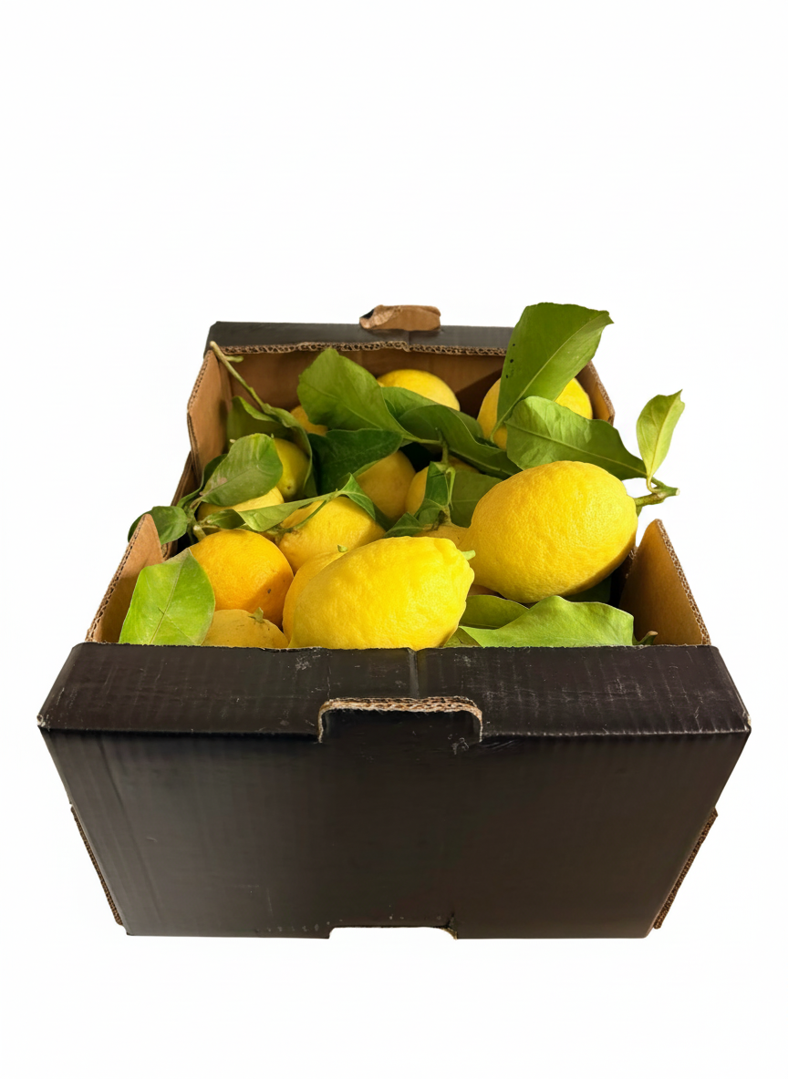 Limoni Naturali non trattati post raccolta