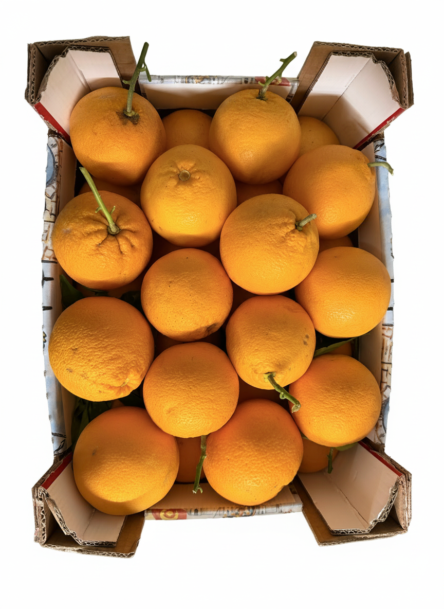 Arance tarocco da pasto