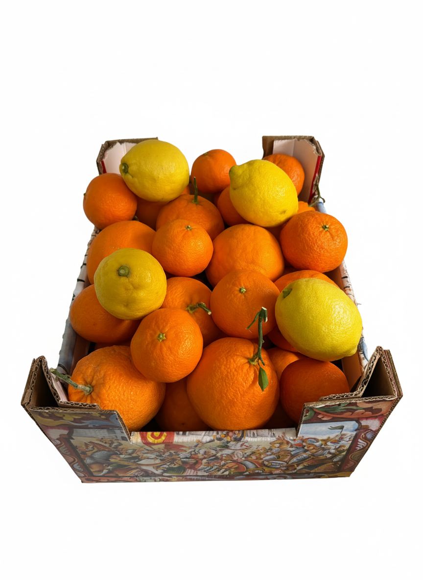 Arance Tarocco, clementine Nova e limoni