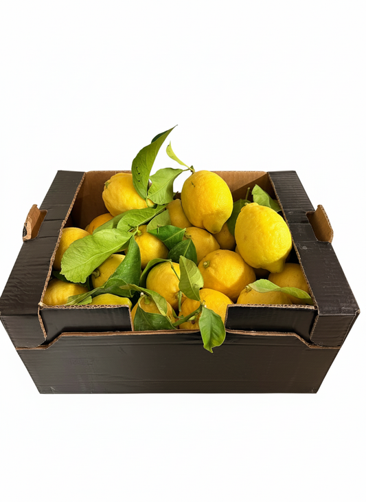Limoni Naturali non trattati post raccolta